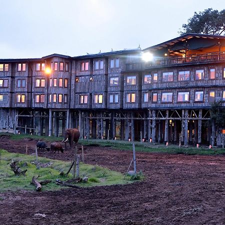 Treetops Mweiga Zewnętrze zdjęcie