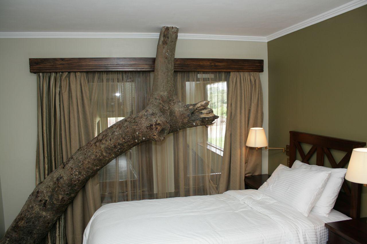 Treetops Mweiga Pokój zdjęcie