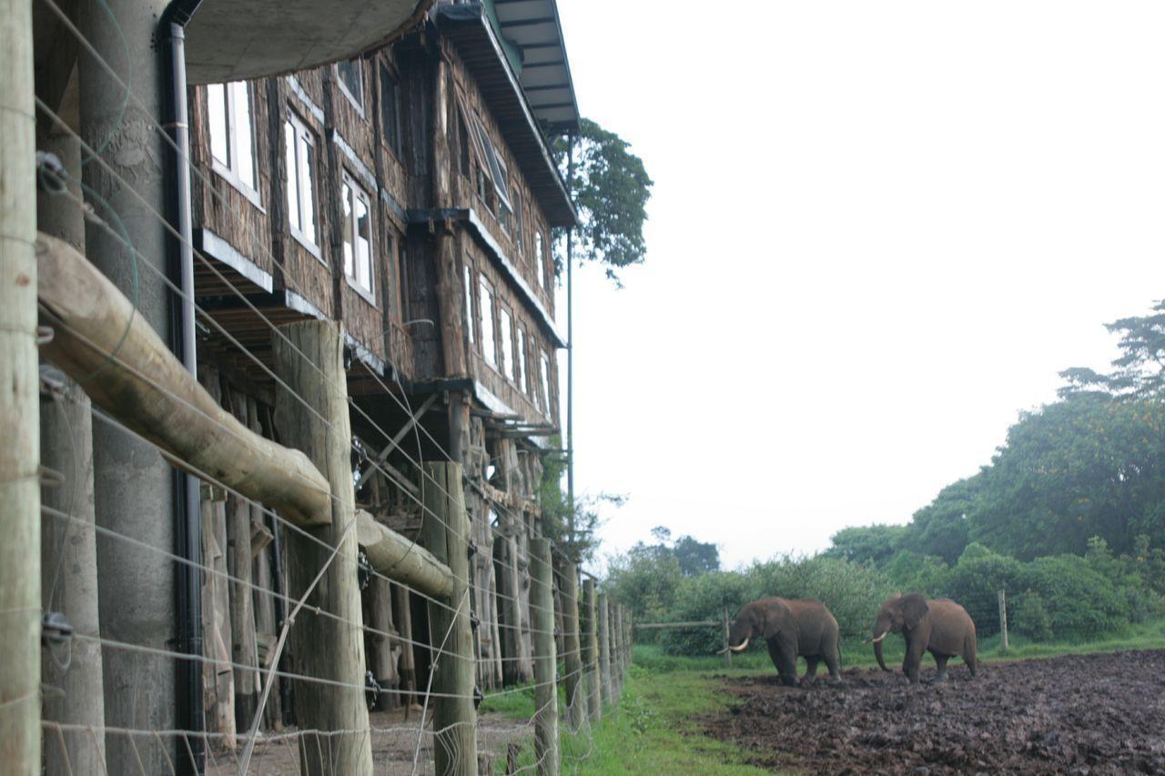 Treetops Mweiga Zewnętrze zdjęcie