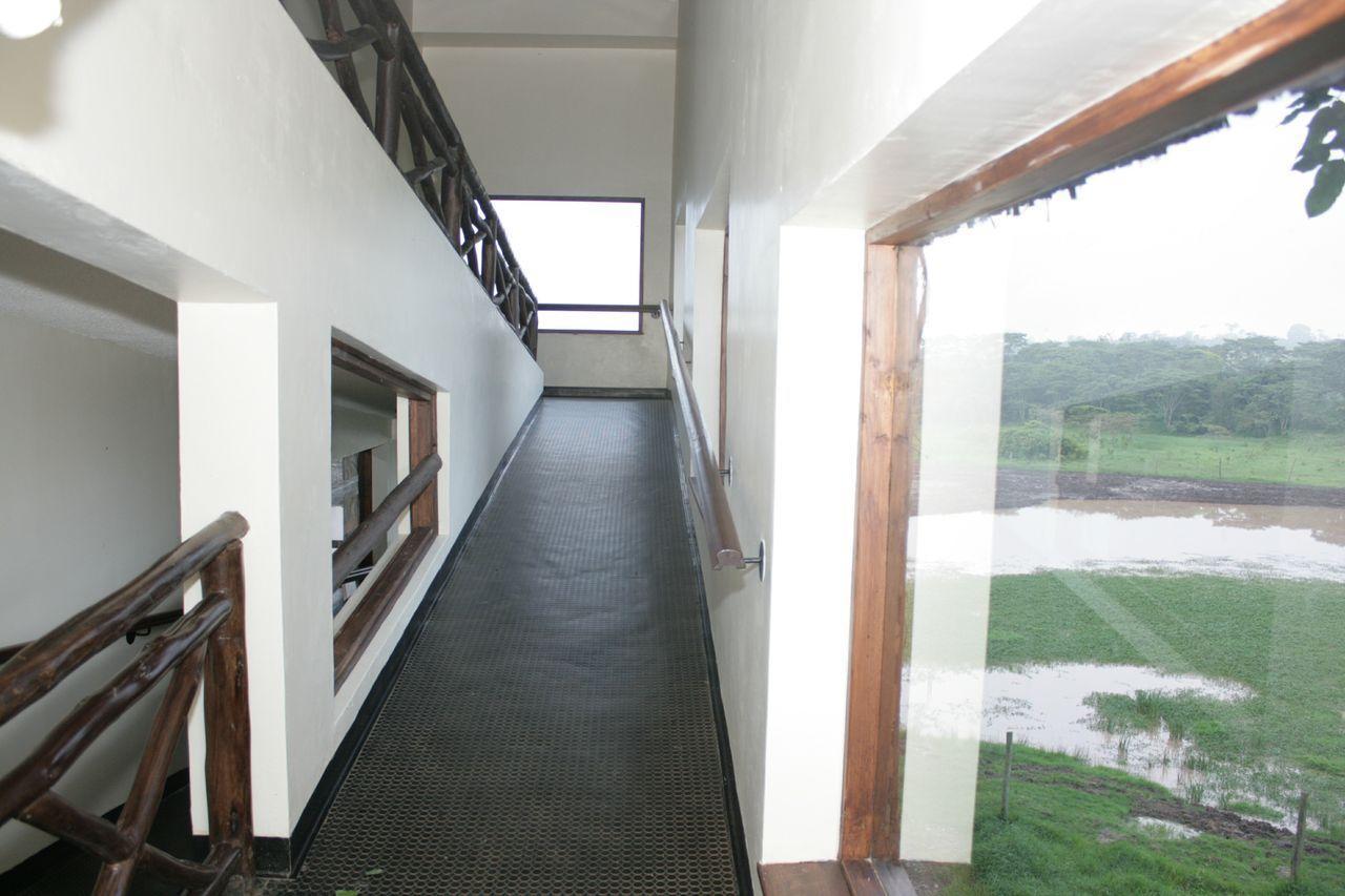 Treetops Mweiga Zewnętrze zdjęcie