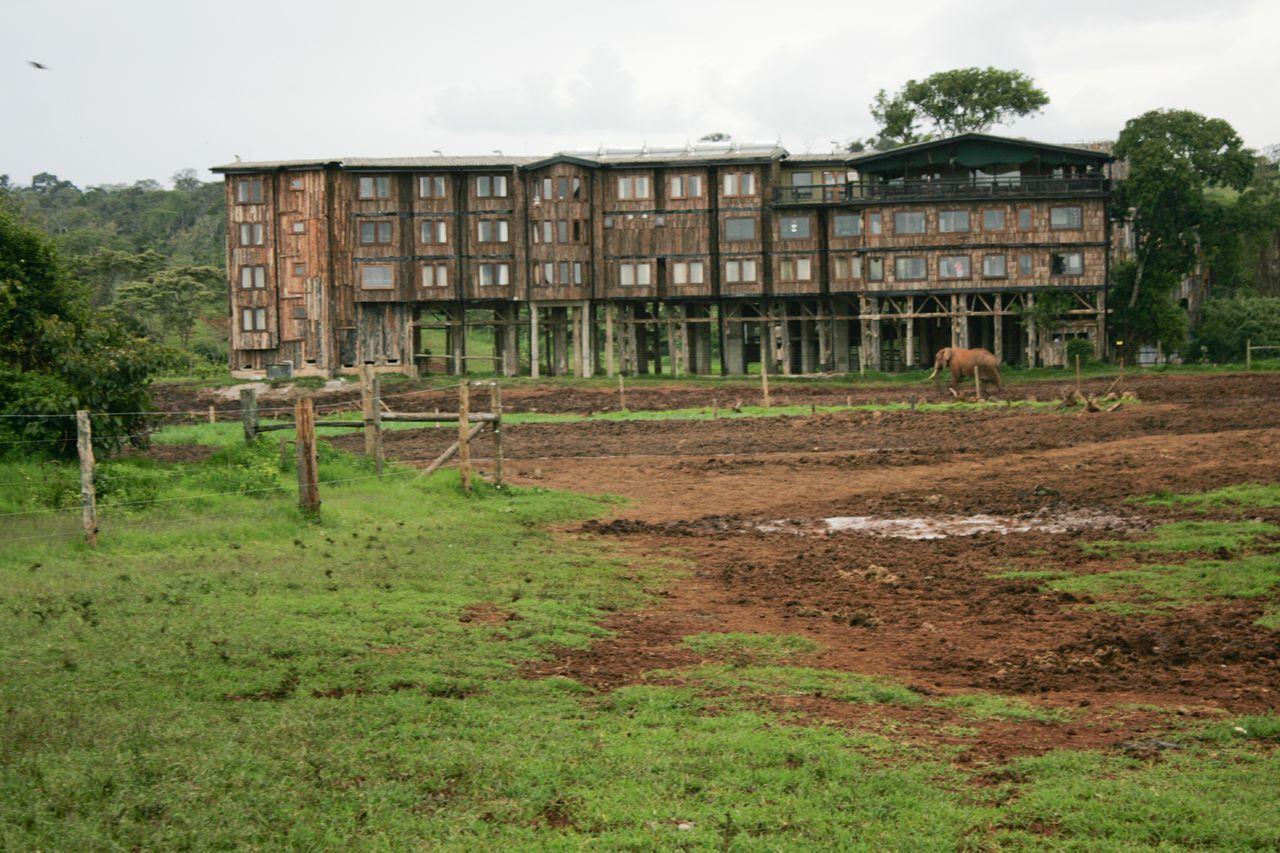 Treetops Mweiga Zewnętrze zdjęcie