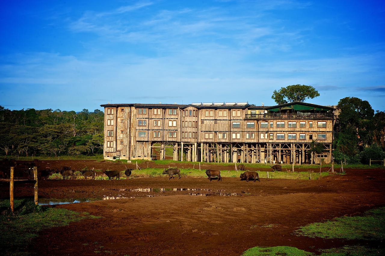 Treetops Mweiga Zewnętrze zdjęcie