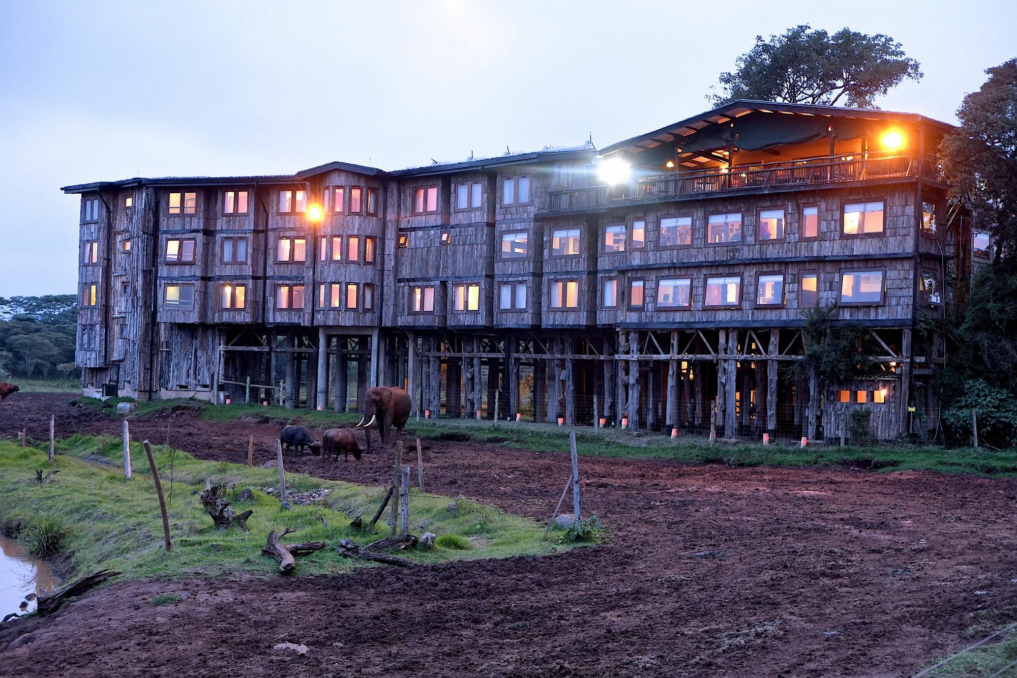 Treetops Mweiga Zewnętrze zdjęcie