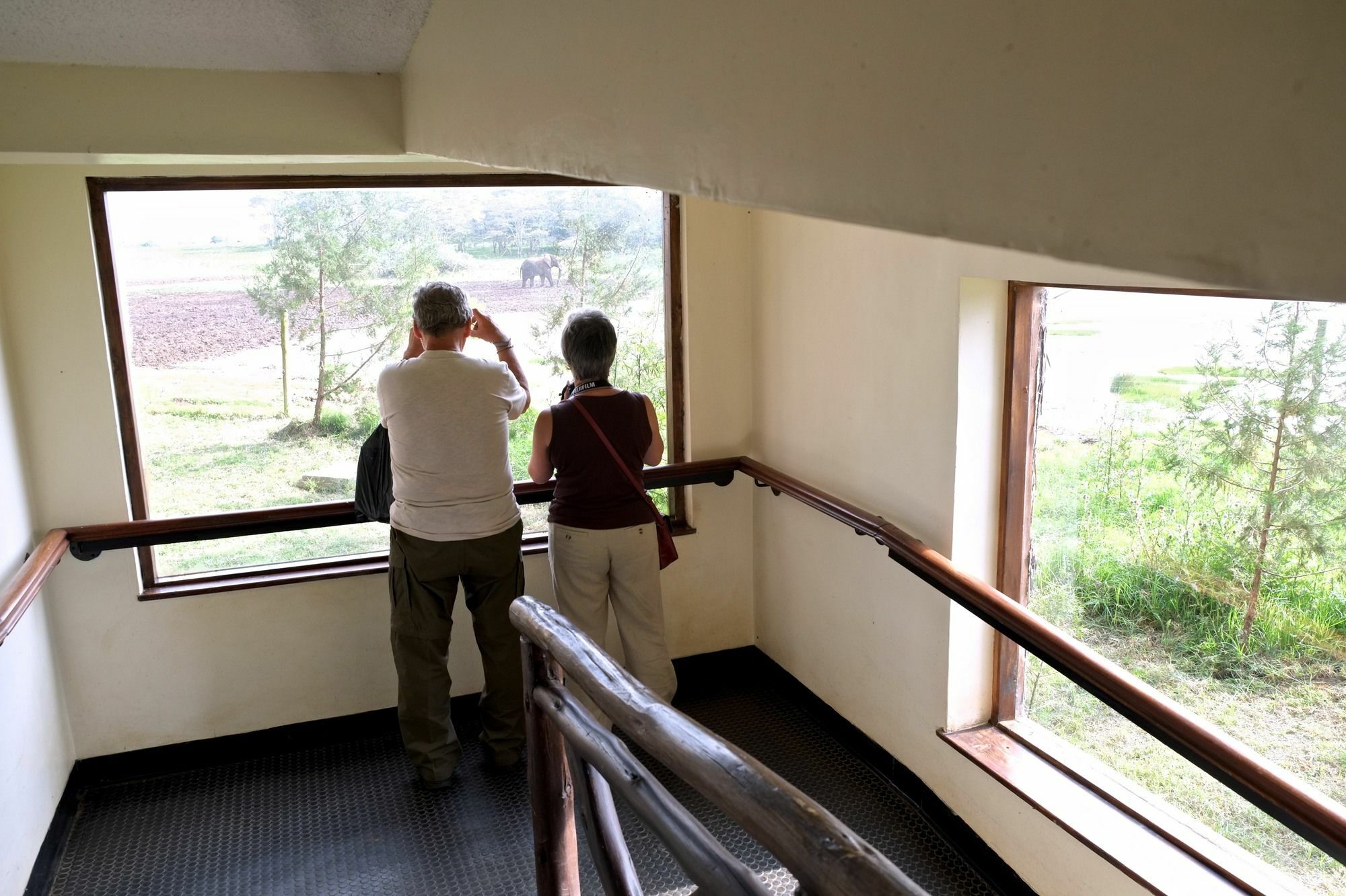 Treetops Mweiga Zewnętrze zdjęcie